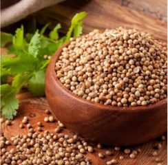 Coriander-Seeds.jpg Coriander-Seeds.jpg